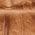 Color Swatch - Brown