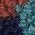 Color Swatch - Multi