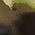 Color Swatch - Brown