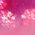 Color Swatch - Pink