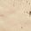 Color Swatch - Gold