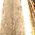 Color Swatch - Gold