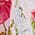 Color Swatch - Floral