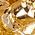 Color Swatch - Gold