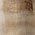 Color Swatch - Ivory