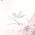 Color Swatch - Ivory