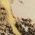 Color Swatch - Yellow