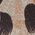 Color Swatch - Tan