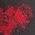 Color Swatch - Red