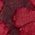 Color Swatch - Red
