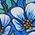 Color Swatch - Blue