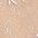 Color Swatch - Pink