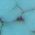 Color Swatch - Blue