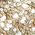 Color Swatch - Gold