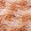 Color Swatch - Tan