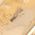 Color Swatch - Gold
