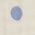 Color Swatch - Blue