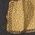 Color Swatch - Gold