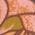 Color Swatch - Floral