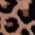 Color Swatch - Animal