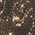 Color Swatch - Gold/Black