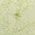 Color Swatch - Gold