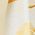 Color Swatch - Yellow