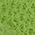 Color Swatch - Kiwi