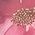 Color Swatch - Floral