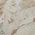 Color Swatch - Floral