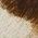 Color Swatch - Animal