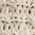 Color Swatch - Ivory
