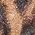 Color Swatch - Brown