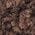 Color Swatch - Brown