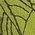 Color Swatch - Green