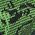 Color Swatch - Green