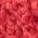 Color Swatch - Red