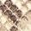 Color Swatch - Animal