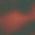 Color Swatch - Tortoise