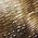 Color Swatch - Animal