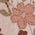 Color Swatch - Blush