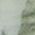 Color Swatch - Softgrass
