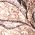Color Swatch - Brown