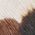 Color Swatch - Animal