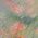 Color Swatch - Floral