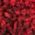 Color Swatch - Red