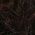 Color Swatch - Brown