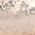 Color Swatch - Brown