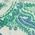 Color Swatch - Green