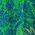 Color Swatch - Green